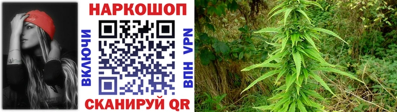 Купить наркотики Семилуки ГАШИШ Альфа ПВП Экстази Псилоцибиновые грибы Конопля Меф COCAIN